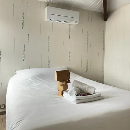 Grande Maison Conviviale, Jardin Et Calme * l'Isle-d'Espagnac